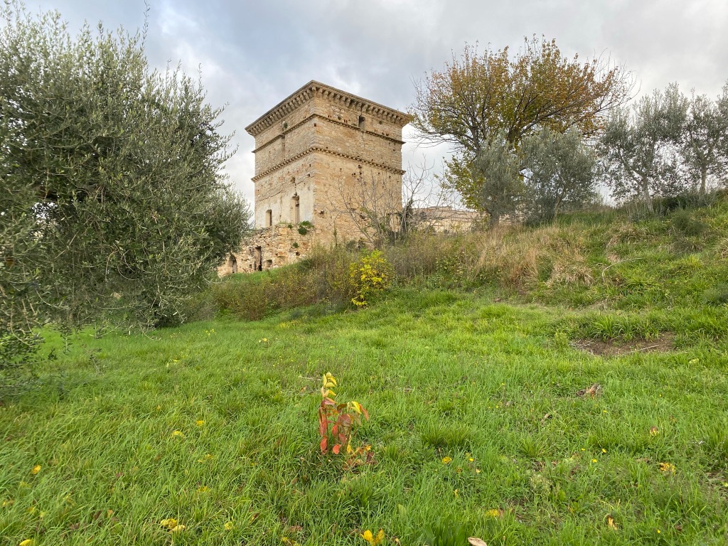 La Torre del Gualdo